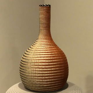 VASE-H image 0